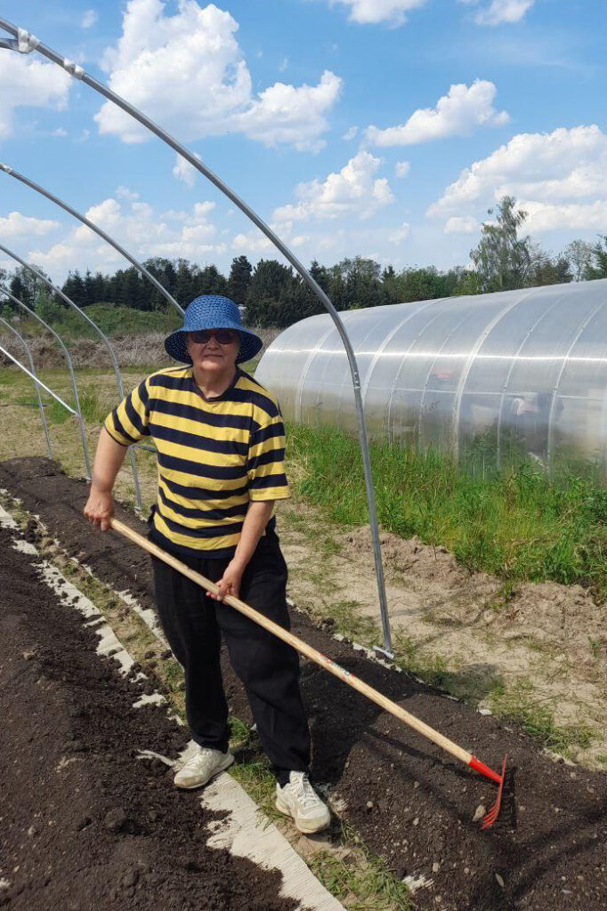 Smiling older woman farmer raking a raised compost bed - 2.3