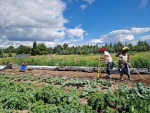 BIPoC Fem farmers preparing a vegetable bed with a broadfork and rake at aloti farm - credit Anna Sika Bois-Fiaty