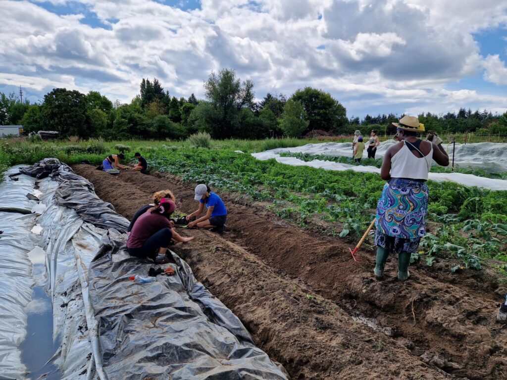 BIPoC farmers preparing a compost high bed at aloti farm - credit Anna Sika Bois-Fiaty