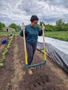 Black fem farmer using a broadfork to prepare vegetable beds