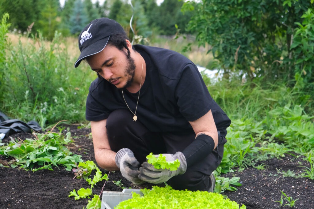 Black masc farmer transplanting seedlings at aloti farm